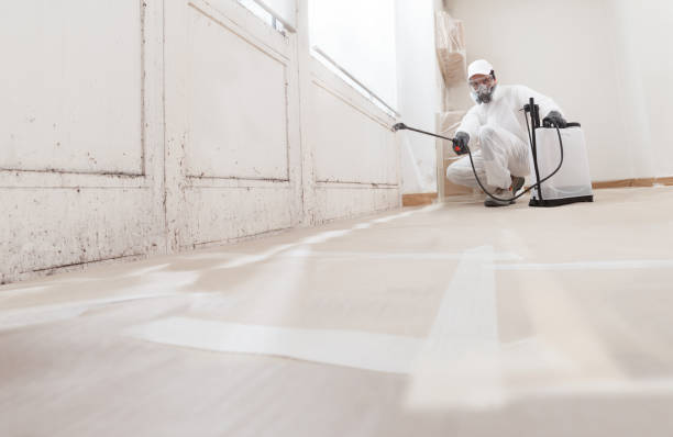 24/7 Emergency Mold Remediation experts in Fayetteville, TN