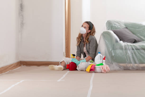 Reliable Mold Remediation contractor in Fayetteville, TN by 24 Hour Mold Removal
