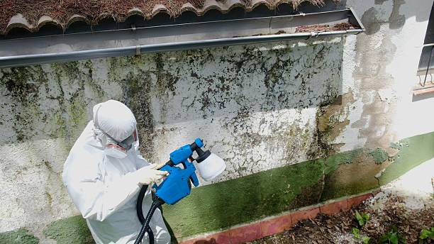 Top rated local Mold Remediation specialists in Fayetteville, TN
